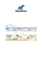 Hayabusa Free Slide DN0